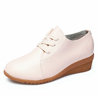 Рис белый четыре сезона