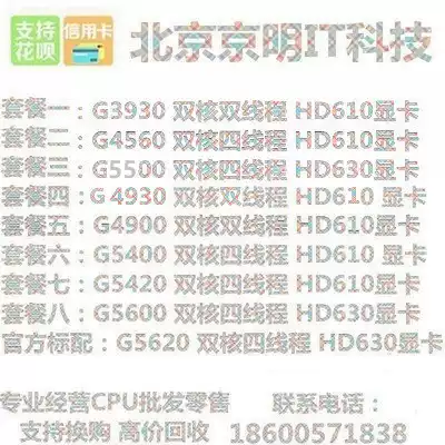 G5400 G5420 G5620 G5600 G4900 G4930 3930 4560 G5500 CPU bulk