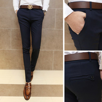 Summer fall mens business casual pants male Korean version sashimi small-footed suit pants trendy pants mens pants slim fit