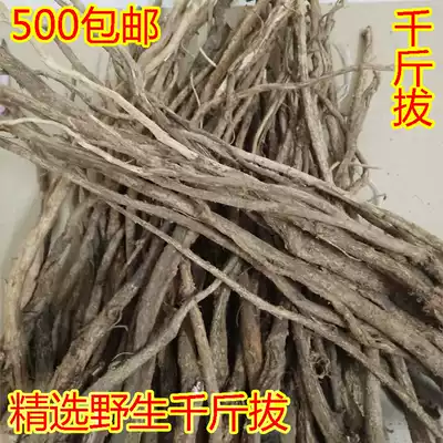 Guangxi wild Qianjin pull a root mouse tail hanging horse pile Jinniu tail sulfur-free 500g bag