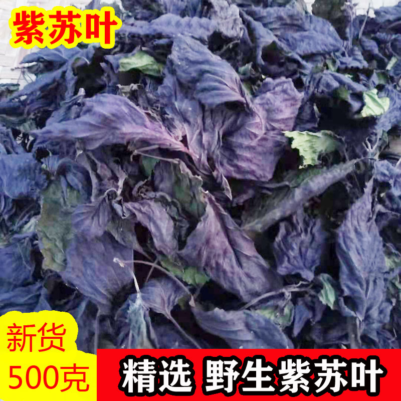 Guangxi Farmhouse Wild Purple Suss Aroma Suyegan Natural Suzi Powder Leaf Dry Goods Burning Fish Shrimp Crab To Fishy 500 gr