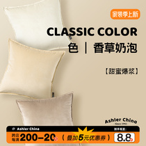 Love Poetry Lemy Grey Sky Goose Down Light Extravagant Pillow Pure Color Nordic Sofa Living-room Minimalist Modern Prototype room leaning pillow