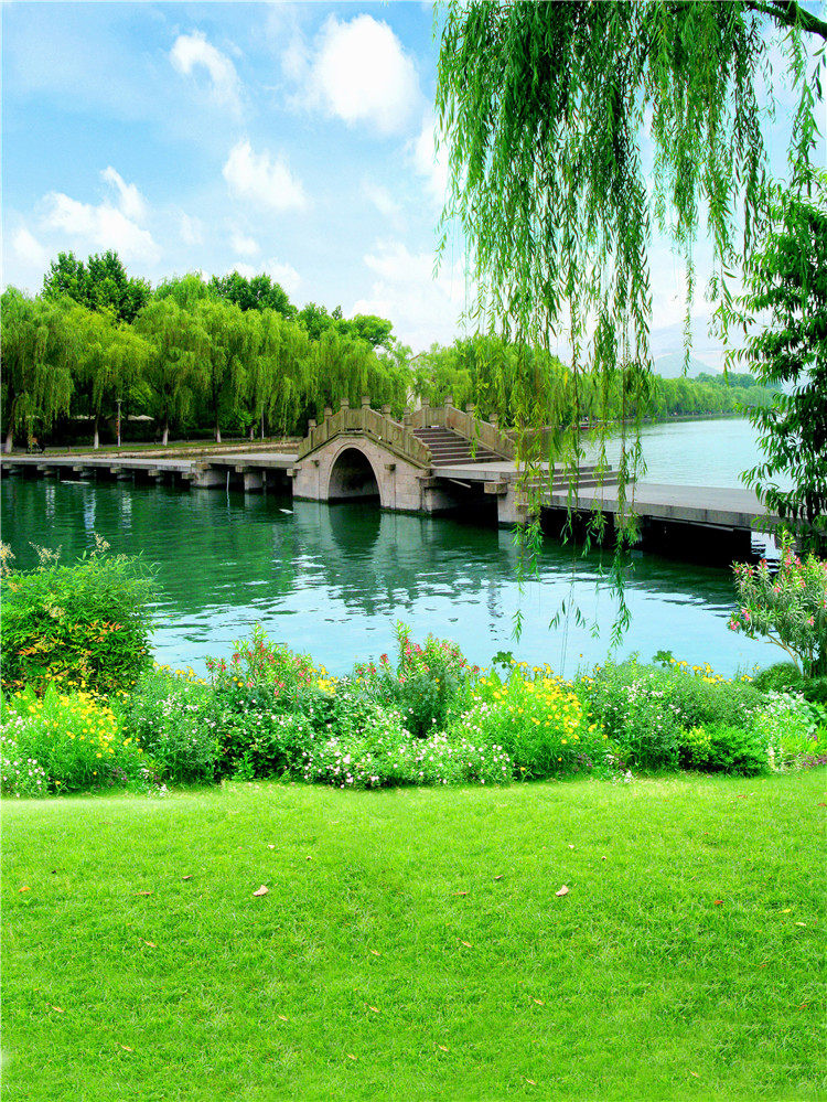 Scenery background cloth main broadcasting background cloth background cloth background cloth fast hand background cloth film background cloth background cloth photo background cloth