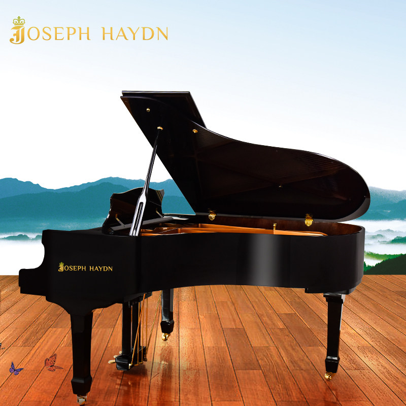 New German Piano Triangle Piano Joseph Haydn ES158 high-end imported Renault accessories customised