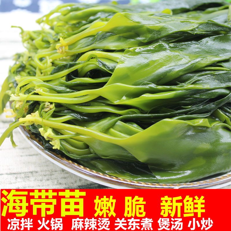 Xiapu tender fresh kelp seedlings 3 catties kelp bud thin wakame cold dish three seconds hot pot ingredients