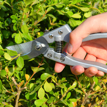  Flower scissors garden gardening scissors pruning scissors branch scissors scissors fruit trees picking vegetables tea fruit artifact labor-saving