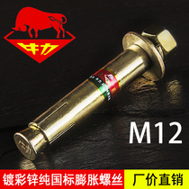 Manufacturer Direct sales Painted Zinc National Standard Expansion Screw m12 Buy quality products Recognition Bull card