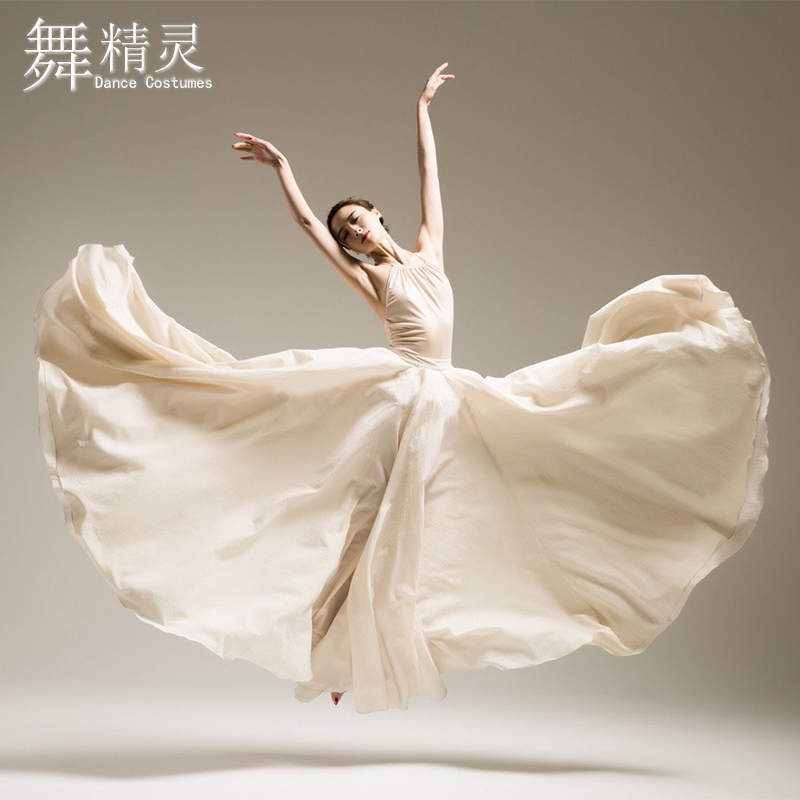 New Modern Dance Skirt, Elegant and Flowing Dance Costume, Photo Shoot Fashion Chiffon Long Skirt, Ballet Practice Skirt for Adults