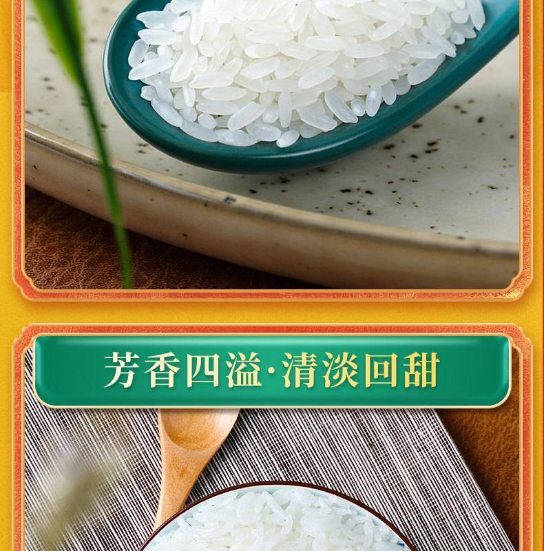 Light Huangfu-Recovery-Recovery _08.jpg
