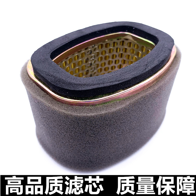 Suitable for Yuncai 100 Ruicai QS125T-4B Licai 125 Fengcai QS125T-3A air filter air filter