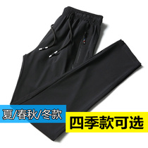 Summer spring autumn and winter quick-drying pants mens thin trousers straight loose and breathable middle-aged and elderly sports pants plus size