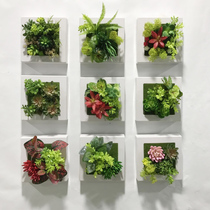 Simulation green succulent plant wall decoration wall green plant creative three-dimensional home porch wall decoration Wall Wall