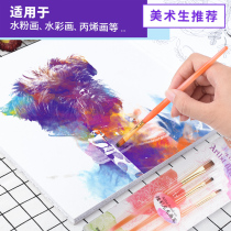 Art students beginner watercolor special nylon brush flat head gouache oil painting acrylic brush brush brush brush brush