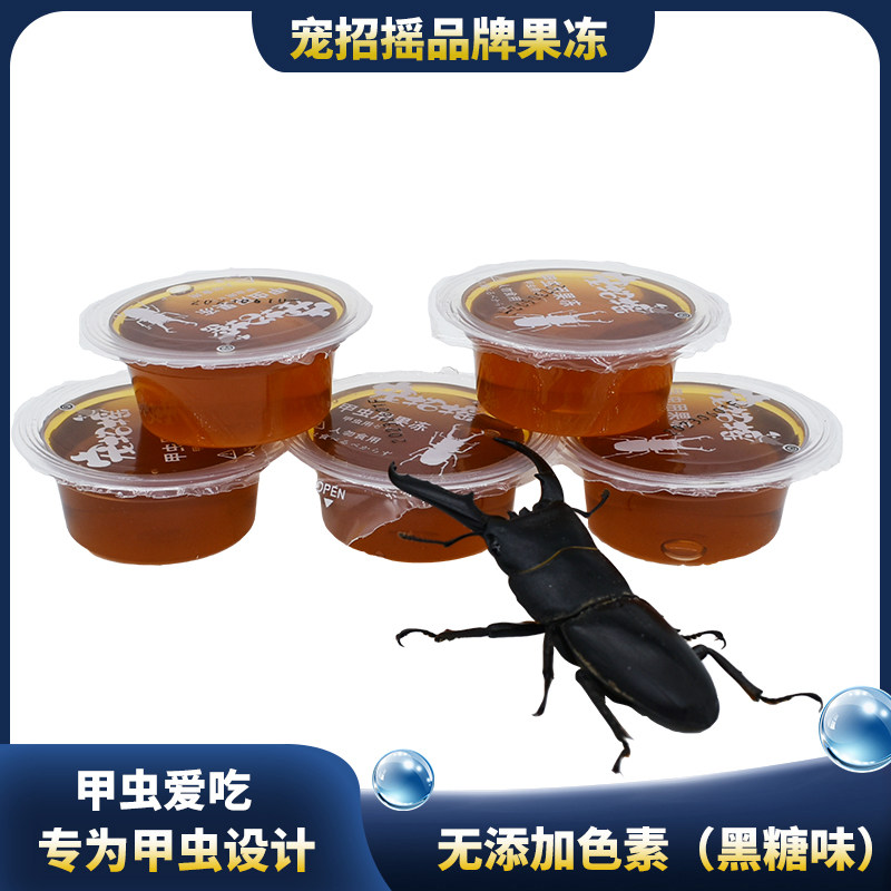Beetle jelly unicorn Insect Jelly Table Feed Caterpillar golden Turtle Stuffed With Worms Black Sugar Shovel Beetle Food-Taobao
