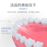 Sien Electric Dentor Homevable Portable зубов Устройство LD-C81 Водное стоматолочное пол откровенное кантоа зуболонное устройство Медицинское устройство