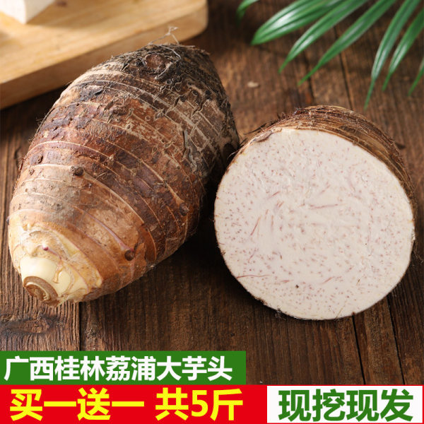 风波庄 广西特产 荔浦芋头 5斤 天猫优惠券折后¥17.9包邮(¥27.9-10) 风波庄 广西特产 荔浦芋头 5斤 天猫优惠券折后¥17.9包邮(¥27.9-10)