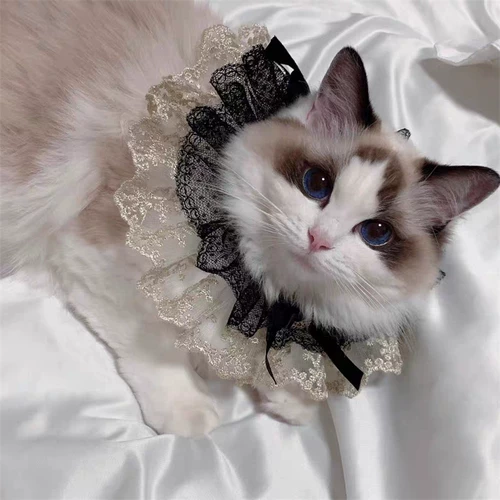 Милый черный слюнявчик, шарф, цветочный принт