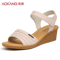 Розовый 184839013