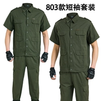 Нарукавники, комплект, короткий рукав