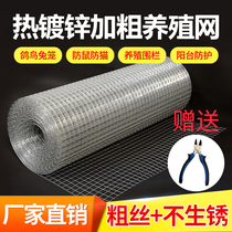 Galvanized barbed fence breeding net steel wire mesh chicken and duck fence iron mesh with hard mesh and thick holes