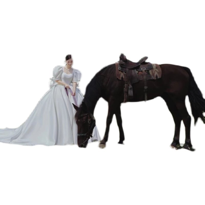 Satin main wedding dress 2024 new big drag out door gauze French court style retro big size bow bubble sleeve