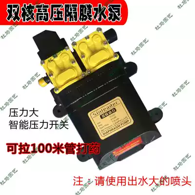 Agricultural 12V high power dual core water pump electric sprayer intelligent double pump high pressure cleaning spray pump
