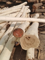 Locust wood logs outdoor climbing play columns kindergarten peeled and polished solid wood trunks scenic locust trees