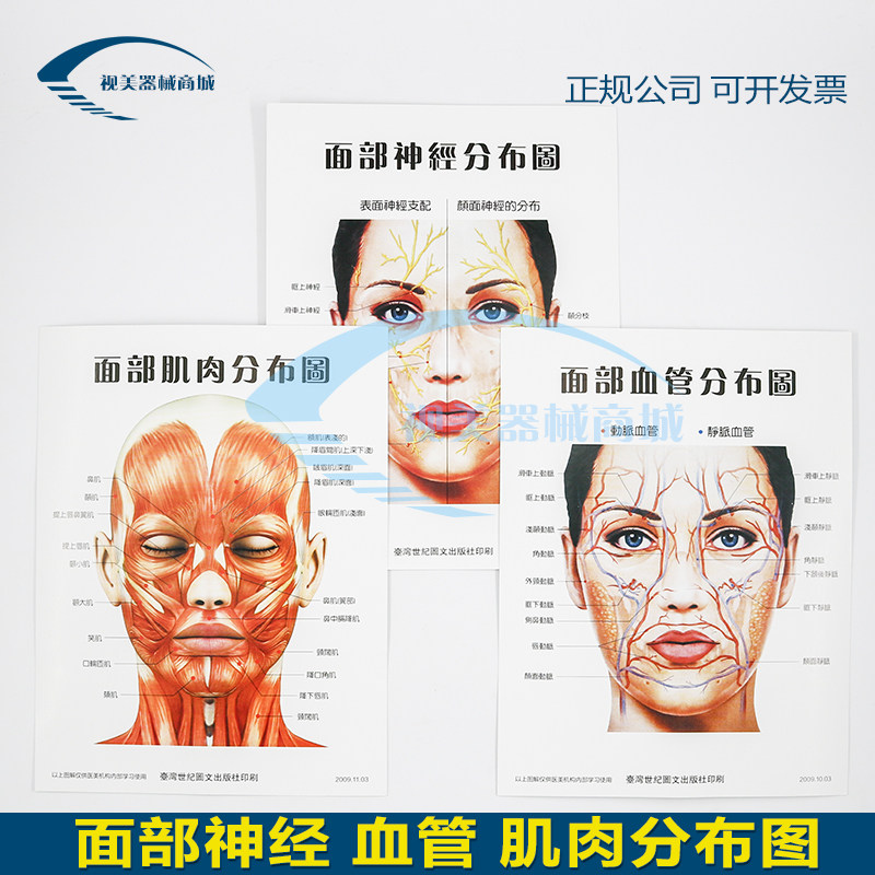 面部神经分布图血管肌肉三张一套美容微整形从业 参考辅助图