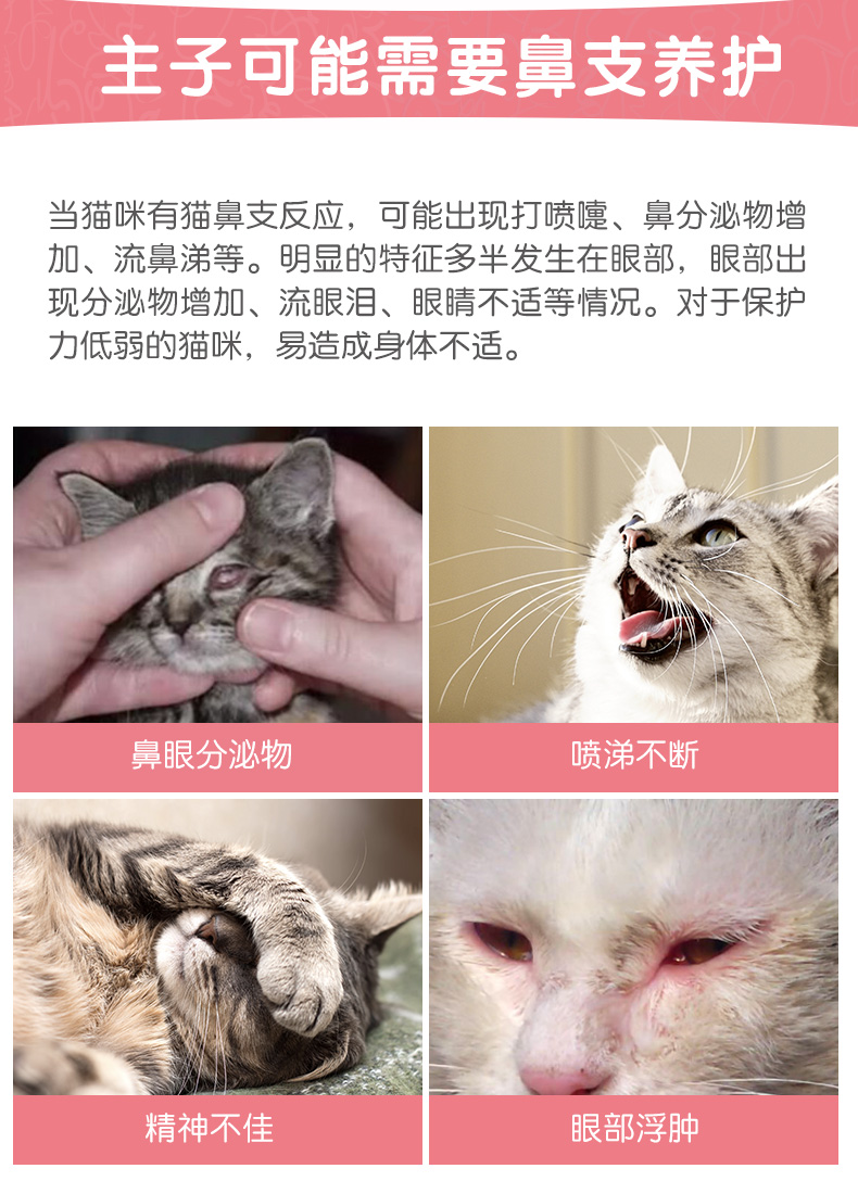 Med IN-KAT L-Lysine hỗ trợ mũi mèo 10g catamine lysine điều hòa mèo hắt hơi lạnh - Cat / Dog Health bổ sung sữa chó con