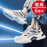 FB2118 Белый черный (увеличенные деньги)