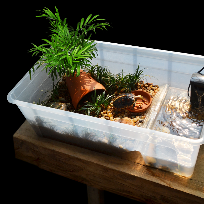 Yellow Edge Turtle Special Cylinder Yellow Edge Closed Shell Turtle Ambum Half Water Turtle Gold Money Tortoise Eco Breeding Box Building Mat Material Turtle Pond