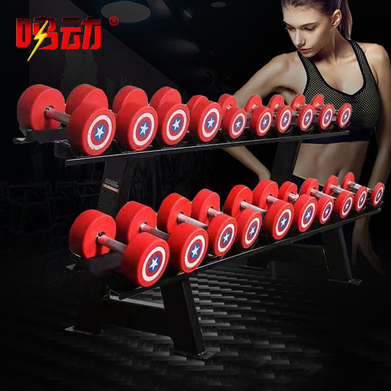 Commercial Dumbbell Rack for 10 Pairs, Fixed Double-Layer Vertical Home-Use Arm Muscle Training Kettlebell Rack, Fitness Equipment Storage Rack