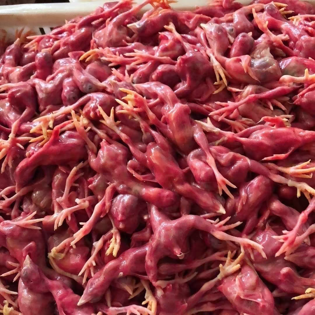 5斤装新鲜脱毛小鸡仔肉适合哪些宠物食用？猫狗蛇鹰龟喂养有何区别？-狗零食湿粮包餐盒-淘宝好物网, image size:1080x1080