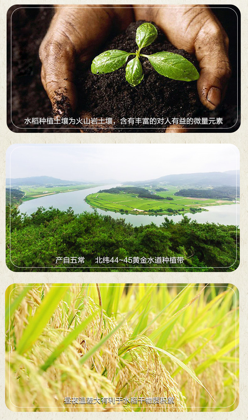 参娃雪 五常稻花香米 东北大米 10斤 图3
