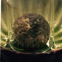  Grunt Grunt Grunt Grunt Grunt Grunt Grunt Grunt Grunt Grunt Grunt Grunt Grunt Grunt Grunt Grunt Grunt Grunt Grunt Grunt Grunt Grunt