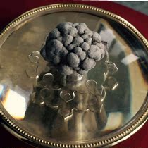  Shakyamuni Buddhas original Relic Flower Large package Tibetan Gawu Relic Tower Marriage product Special offer