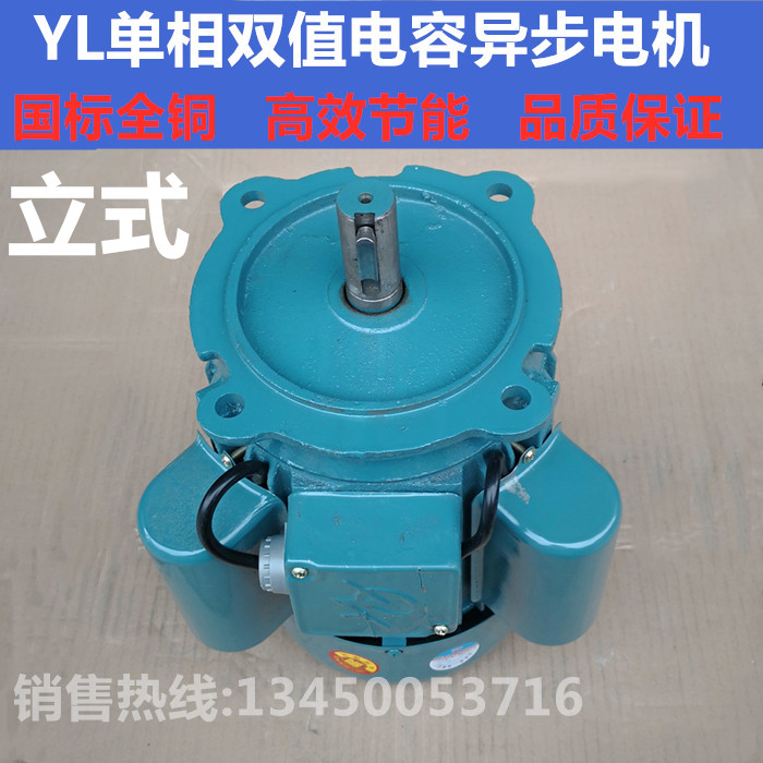 YL double-value capacitor asynchronous motor 0 75KW1 5KW2 2KW single-phase AC220V vertical iron shell all copper motor