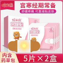Liyue warm Palace paste Wormwood winter girls with motherwort Female menstrual self-heating warm paste treasure paste