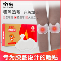Khali Bear Knee Joint Warm Sticker Baby Sticker Self-heating Cold Protection Warm Knee Hot Apply Hot Post