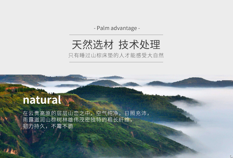 Nature nâu nệm giấc mơ Wyatt mat6 toàn bộ cọ núi nệm mat cứng 1.8m1.5 mét con đẻ có thể được tùy chỉnh - Nệm nệm kymdan khuyến mãi