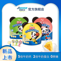 Panda 520 cheese lollipop cheese High calcium healthy nutrition Childrens snacks Ready-to-eat cheese sticks
