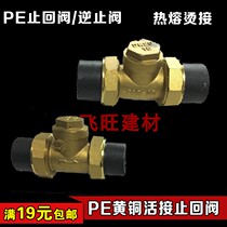 4 minutes 20 6 minutes 25 40 50PE brass check valve One-way check valve PE hot melt water pipe fittings accessories