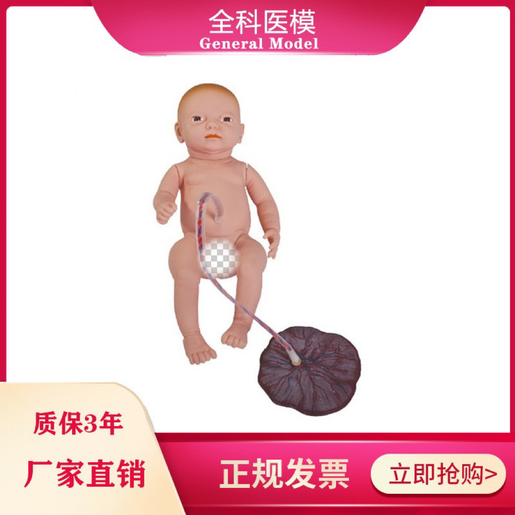 高级新生儿脐带胎盘护理模型 婴儿脐带结扎及护理操作训练模拟人
