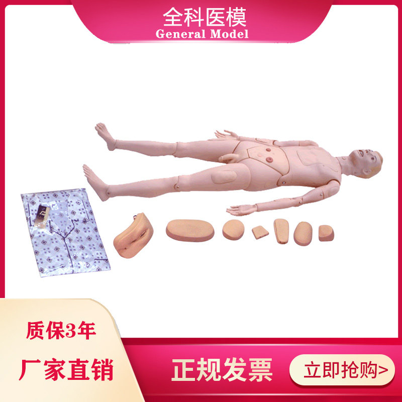 组合式基础护理人训练模型胸腹肝脏骨髓腰椎穿刺导尿静脉模拟人