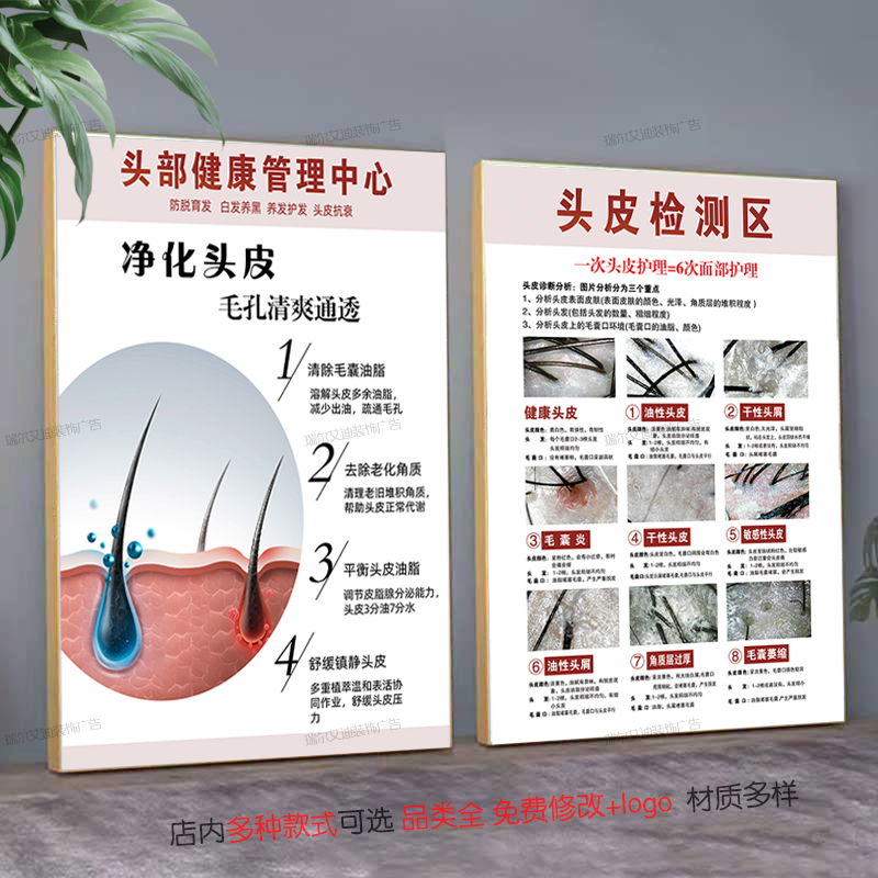 Scalp Analysis Chart Poster, Hair Growth and Hair Care Promotional Poster, Scalp Condition Comparison Chart, Men's and Women's Hairstyles Advertisement Wall Sticker