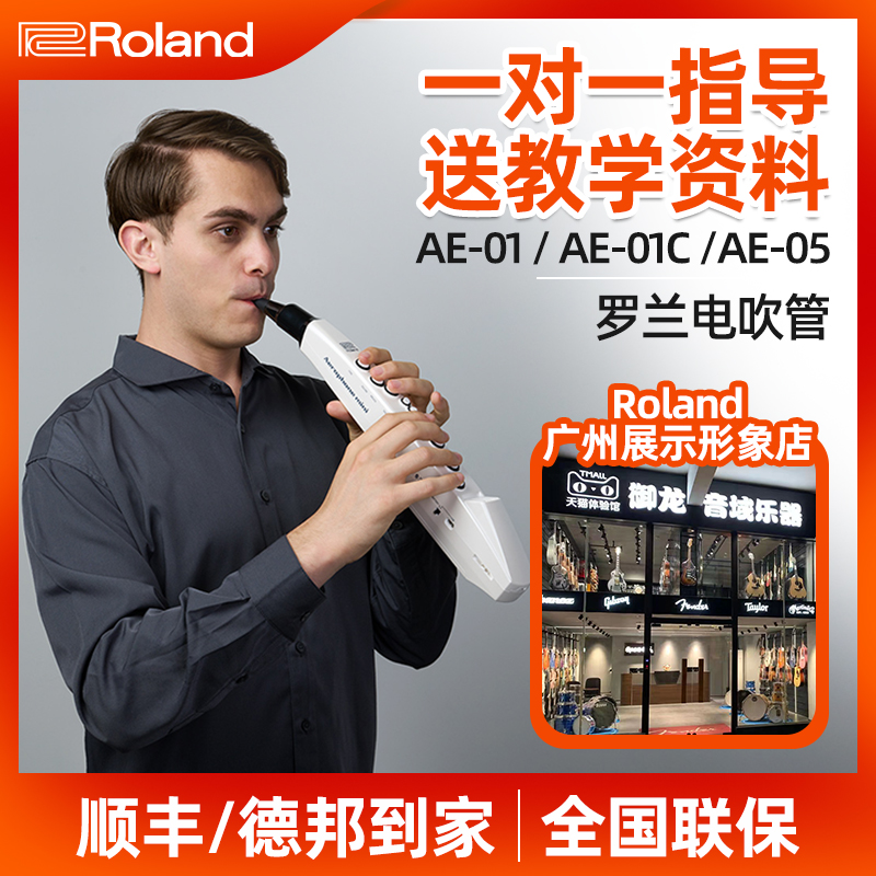 Roland罗兰电吹管 ae01 ae01c ae05 萨克斯提琴民族乐器 电子吹管 Изображение 1