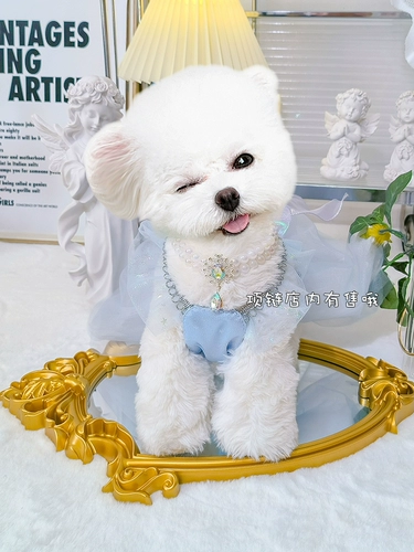 Одежда для собак в летней тонкой одежде для домашних животных кошка