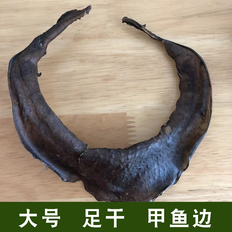 Turtle skirt dry goods large Chinese turtle group fish Guangdong water fish lip fly edge foot dry aquatic hotel soup