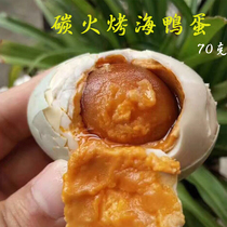 30 north sea mangrove duck eggs