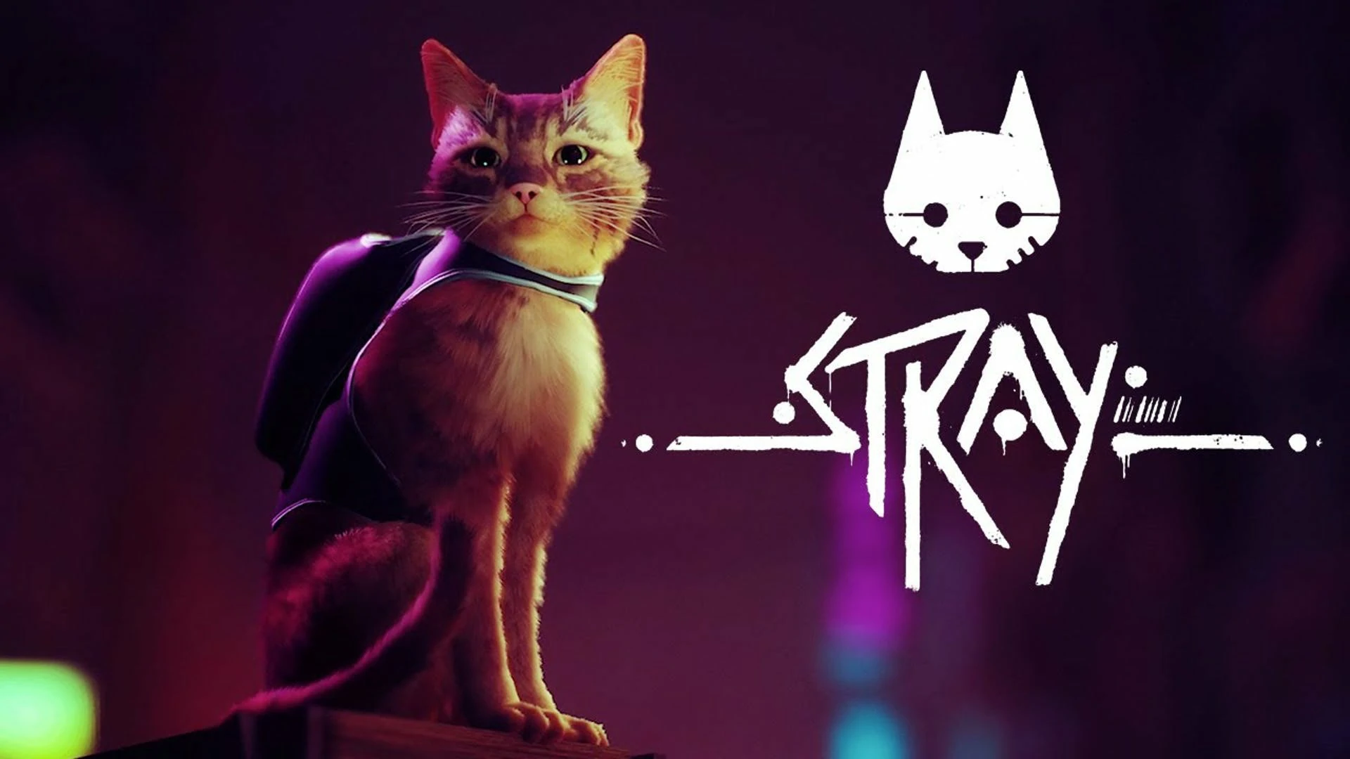 图片[1]-《迷失（Stray）》-网灵游戏-畅玩3A大作